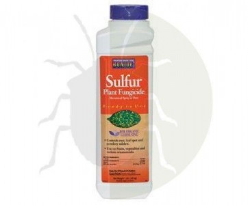 Sulphur 80 WG