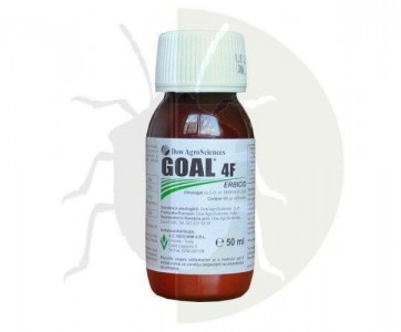 Goal 4F