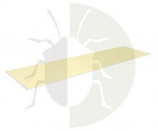 CatchMaster 72XL, capcana soareci