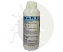 BANJO 500 SC
