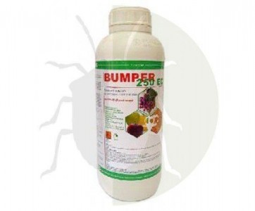 Bumper 250 CE