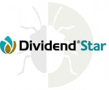 DIVIDEND STAR 036 FS